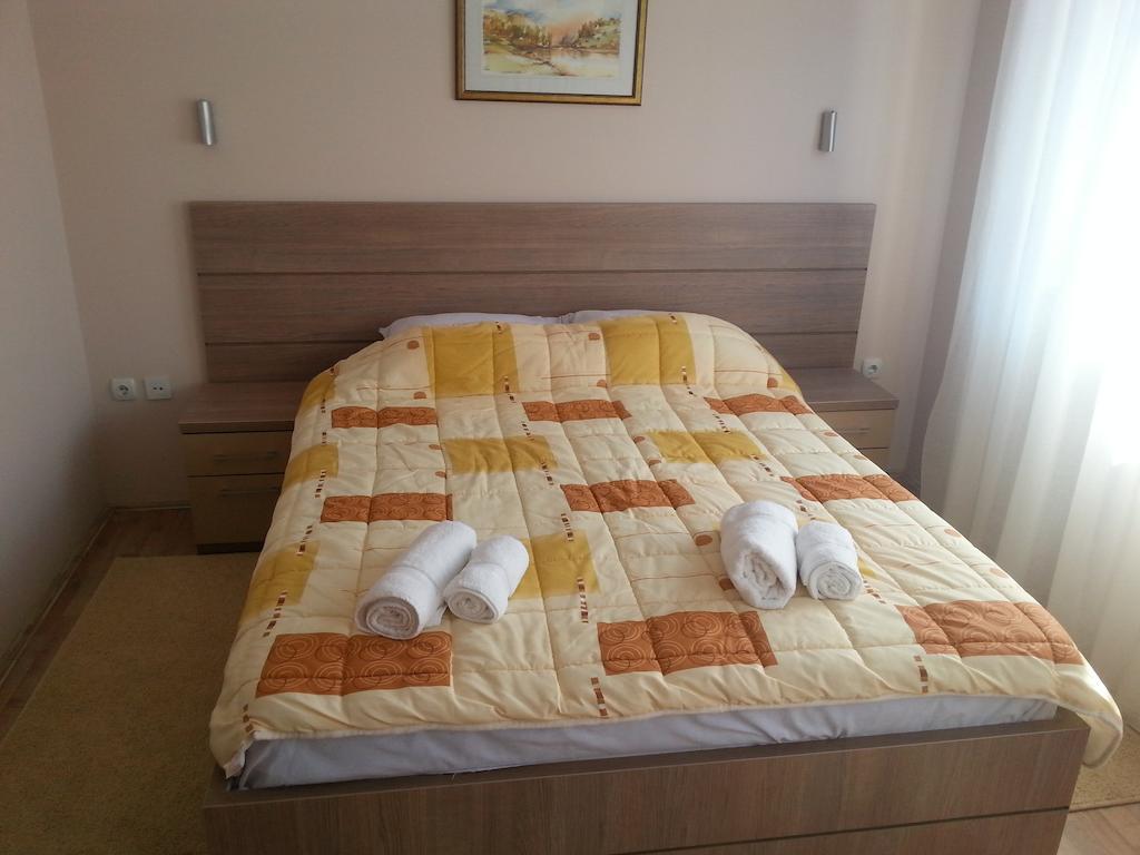 Garni Hotel Crystal Ice Ni Camera foto